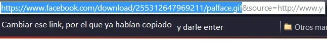paso 4.webp