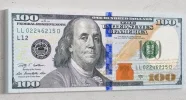 100 dollar bill.webp