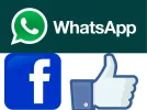 pict.webp pict.webp