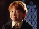 Ron-Weasley-ronald-weasley-30901063-1024-768.webp Ron-Weasley-ronald-weasley-30901063-1024-768.webp