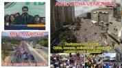 dvgdsfgsdfgfsdf.webp