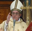 papa.webp