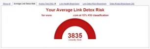 linkdetox.webp