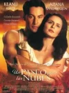 descarga (1).webp