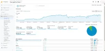 Analytics visitas 1-02-19 al 1-03-20.png Analytics visitas 1-02-19 al 1-03-20.png