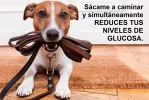 diabetes 038.webp