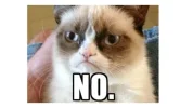 rep_3952_GRUMPY.webp