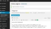 CAPTURA creacion de pagina.webp