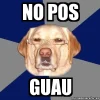posguau.webp posguau.webp