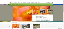 Sin título.webp