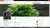 nuevotwitter.webp