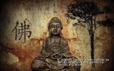 buda (2).webp