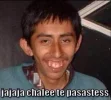 chales.webp chales.webp