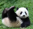 imagen-3.webp imagen-3.webp