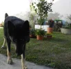 imagen-30.webp imagen-30.webp