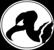 1230341275863_f.webp 1230341275863_f.webp