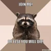 evil-plotting-raccoon-meme-generator-join-me-or-else-you-will-die-b2caa0.webp