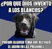 10262221_10203743540855240_3358576933772288435_n.webp