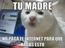 971816_166043460247950_226534884_n.webp