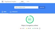 Tienda Gatos Google PageSpeed.webp