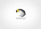 44570033.webp
