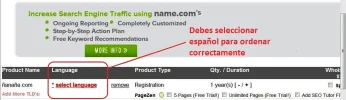 dominio-name.webp
