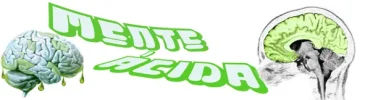 banner mente acida2.webp