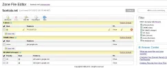 zona dns.webp