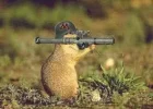 bazooka.webp
