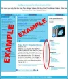 ejemplo.webp
