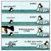 pinguinos.webp