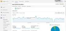 analytic de tribales.webp analytic de tribales.webp