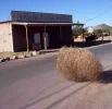 lmml.webp