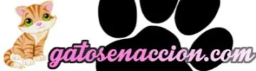 logo.webp