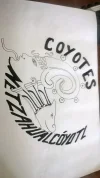 coyotes.webp