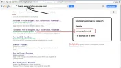 6.webp