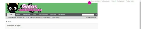 Imagen2.webp