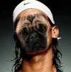t5.webp