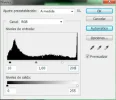 t6.webp