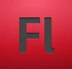 logoflash.webp