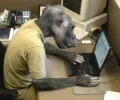 mono.webp