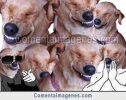 u4ycmud3j5j.webp