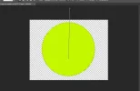 paso5b.webp