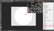 paso12.webp