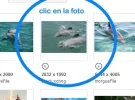 Clip0010a.webp Clip0010a.webp