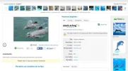 Clip0010.webp