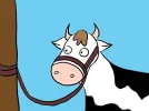 670px-Secure-cow-1.webp