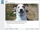 kcci_og_article_thumbnail.webp