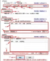 Screenshot_.webp