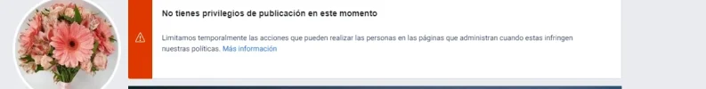 pendeja.webp